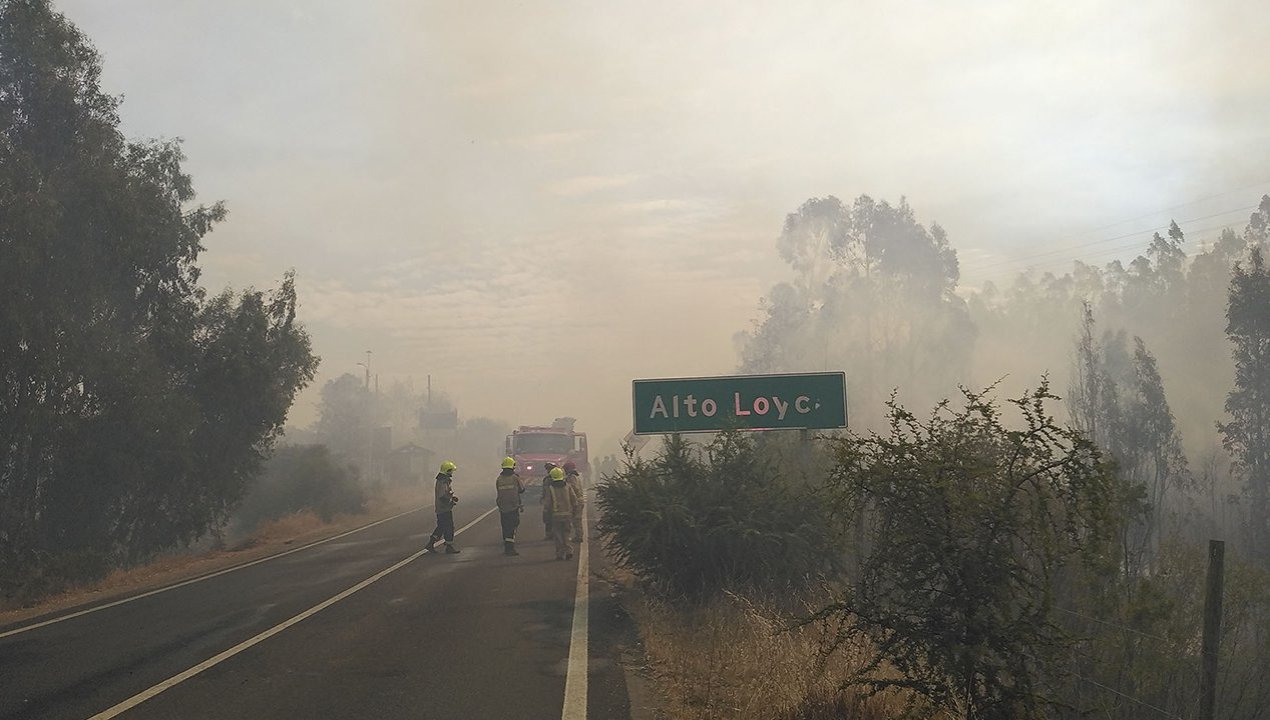 /mas-de-100-hectareas-son-afectadas-por-incendio-forestal-en-san-pedro