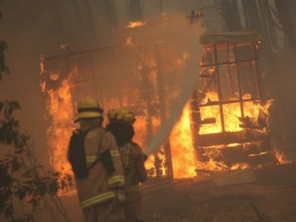 Conaf activa “botón rojo” en ocho regiones por alta probabilidad de incendios forestales