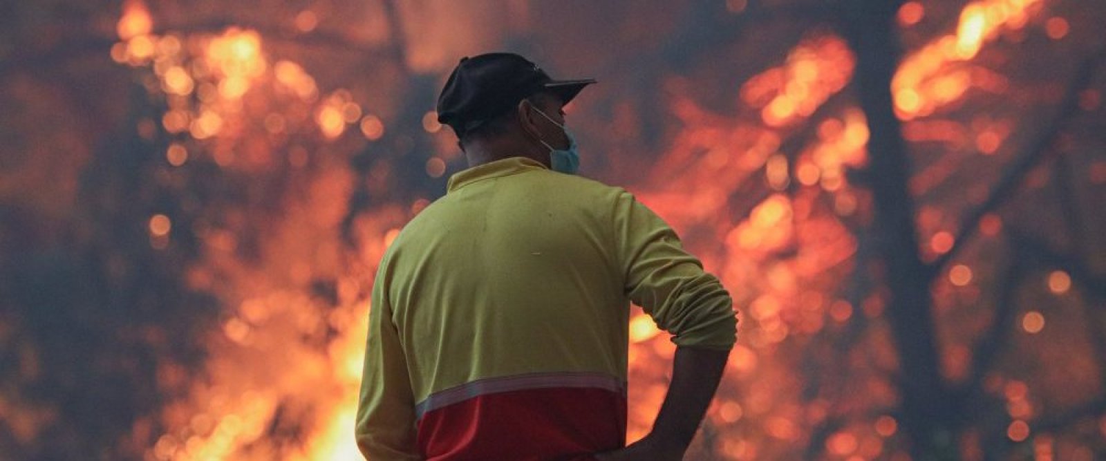Continúan los incendios forestales en la zona centro sur: ya van más de 15 mil hectáreas consumidas