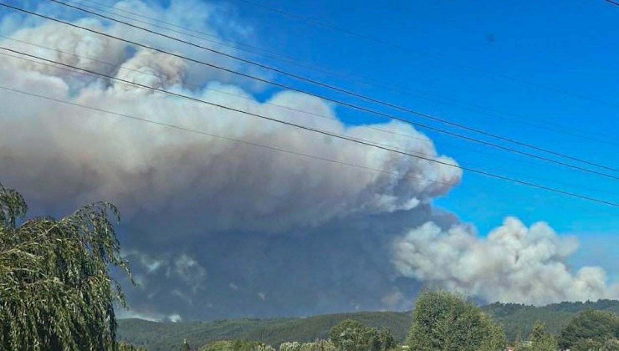 /actualidad/presidente-boric-confirma-18-fallecidos-tras-incendios-forestales-en-nuble