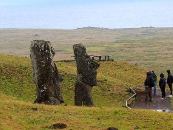 Alerta amarilla en Rapa Nui y Los Andes: brote de dengue suma 18 casos confirmados