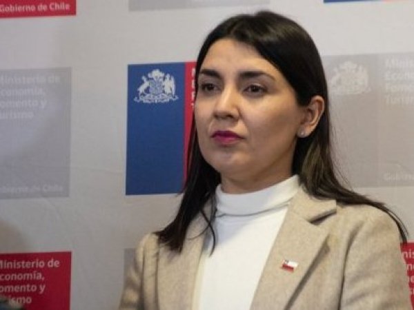 Ministra Marín ordena sumario tras denuncias por irregularidades presupuestarias