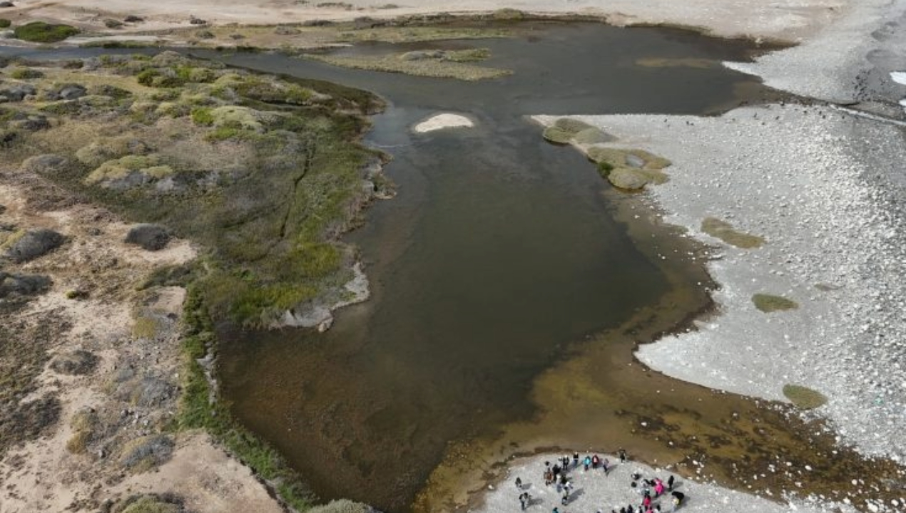 /declaran-santuario-de-la-naturaleza-desembocadura-del-rio-loa